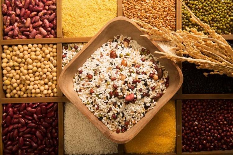揭秘全谷物:吃出健康,吃出美味丨世界粮食日